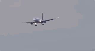 1645243692939043543.gif Feb-19-2022 12-07-36.gif